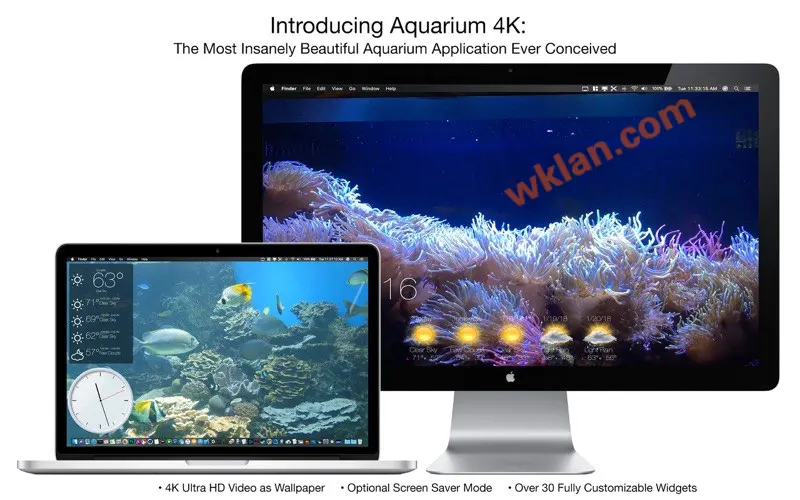 Aquarium 4K